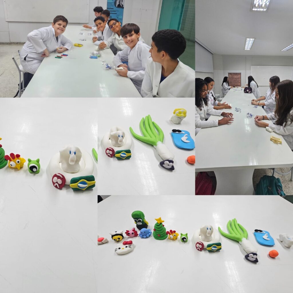 Artesanato na história com estudantes do 8°ano